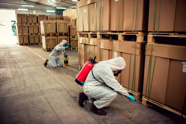 Best Wildlife Control Services  in East Uniontown, PA