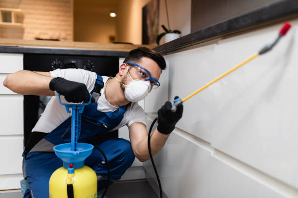 Best Local Pest Control Services  in East Uniontown, PA