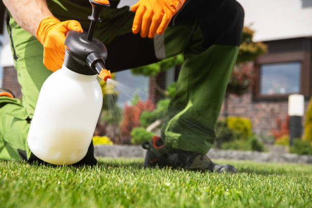 Best Termite Control Services  in East Uniontown, PA