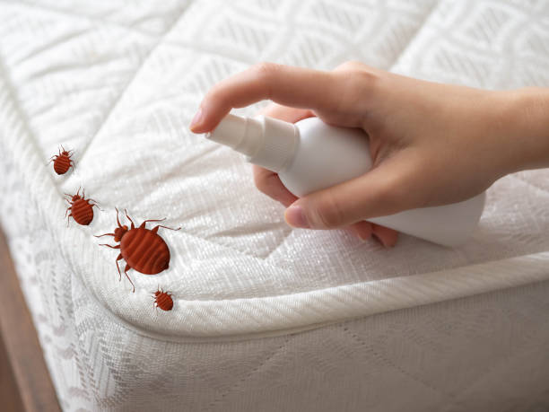 Pest Control for Restaurants in East Uniontown, PA