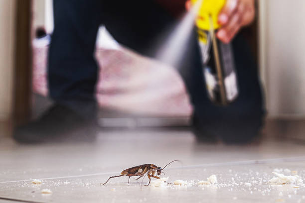 Best Wildlife Control Services  in East Uniontown, PA