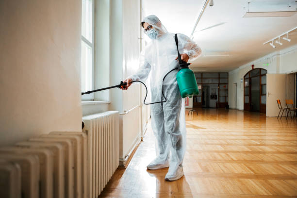 Reliable East Uniontown, PA Pest Control Solutions